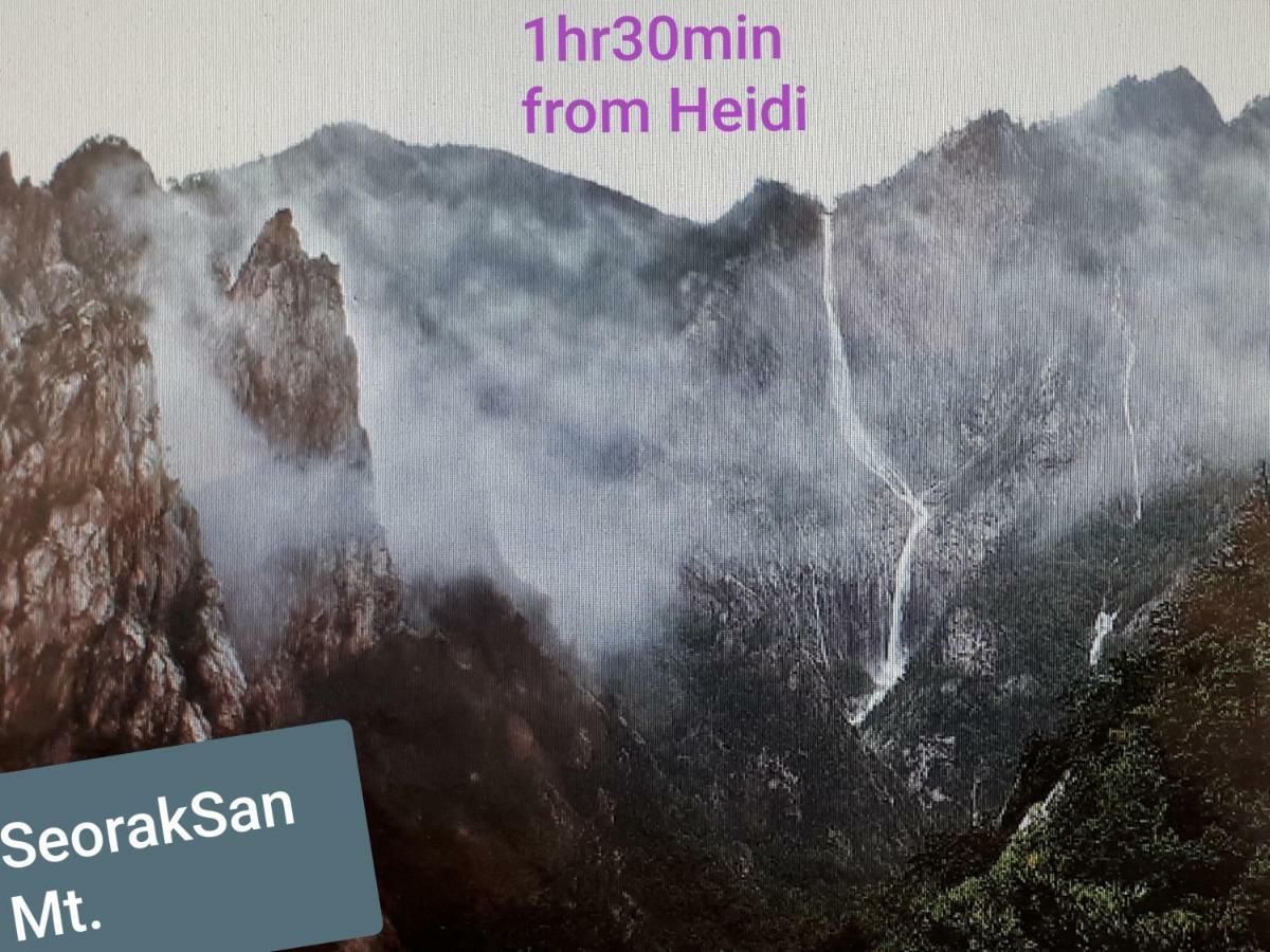 Heidi Korea هونغتشان المظهر الخارجي الصورة